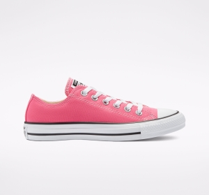 Dámské Nízké Converse ​Chuck Taylor All Star Classic Unisex Růžové | 8574-UGECF