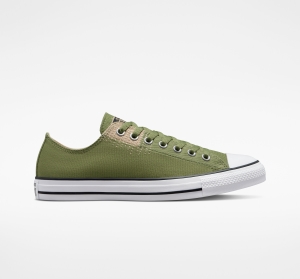 Pánské Nízké Converse ​Chuck Taylor All Star Stitched Unisex Alligator Friend/Oat Milk | 0791-EVSAG