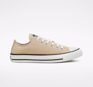 Pánské Nízké Converse ​Chuck Taylor All Star Seasonal Color Unisex Hnědé | 5186-ZSLMI