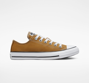 Pánské Nízké Converse ​Chuck Taylor All Star Seasonal Color Unisex Oranžové | 5247-IQYAJ